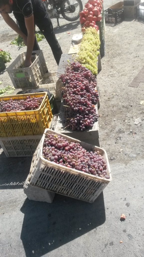 baskets of grapes in baskets
