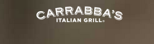 a close up of a logo