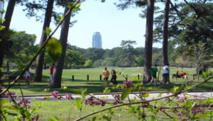 people running on a grass field