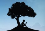 a silhouette of a boy reading a book under a tree