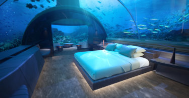 a bed in a room with fish in the water