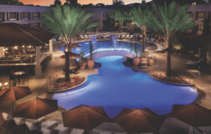 a pool with a bridge and palm trees