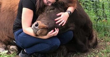 a woman hugging a cow