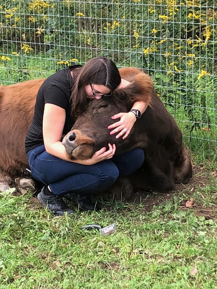 a woman hugging a cow