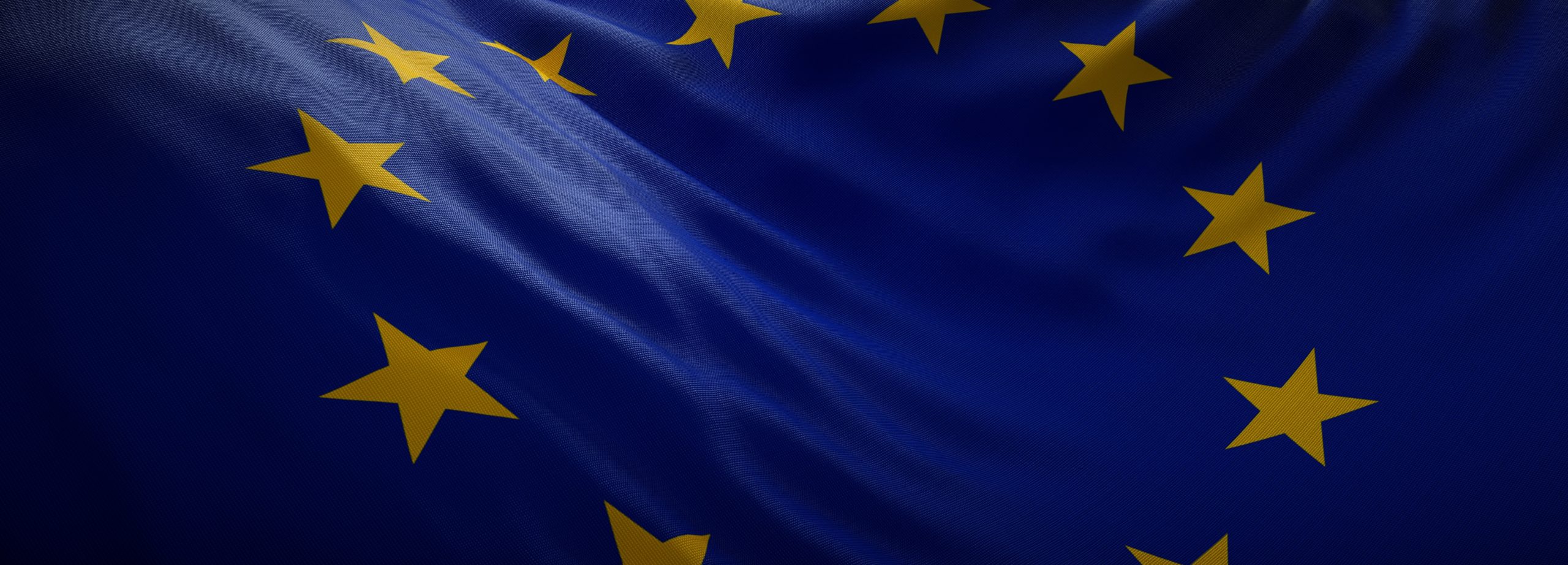 Official Flag Of European Union. Web Banner - Running With Miles