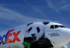 a plane with a panda on it