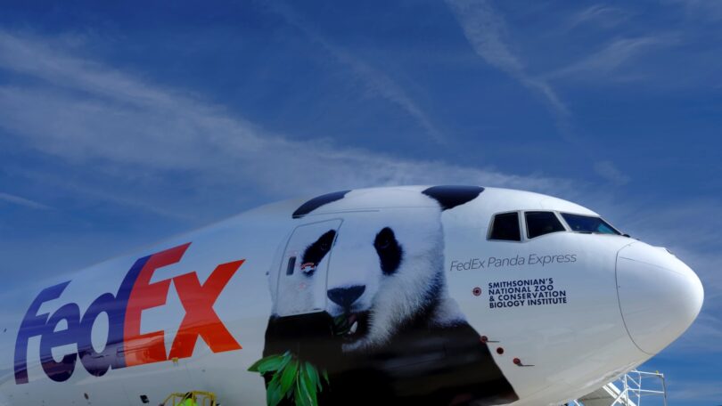 a plane with a panda on it
