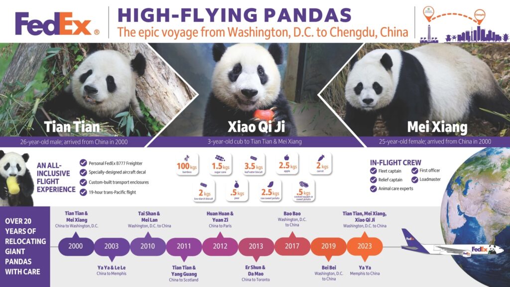 a poster with pandas and text