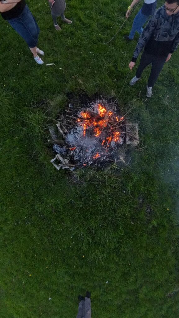 a fire in the grass