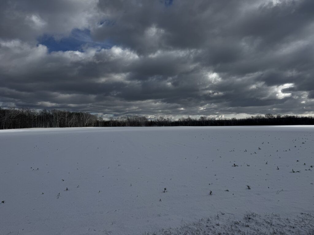 a snowy field with trees in the background