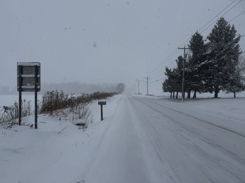 a snow covered road with trees and power lines