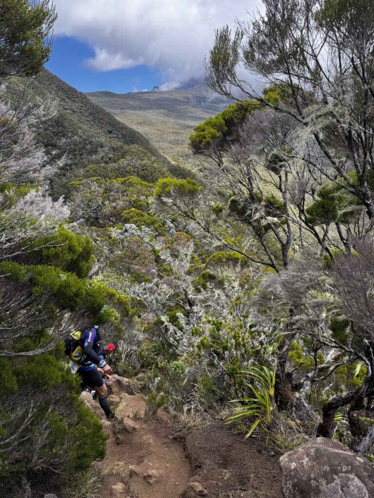 a person climbing a trail in a forest