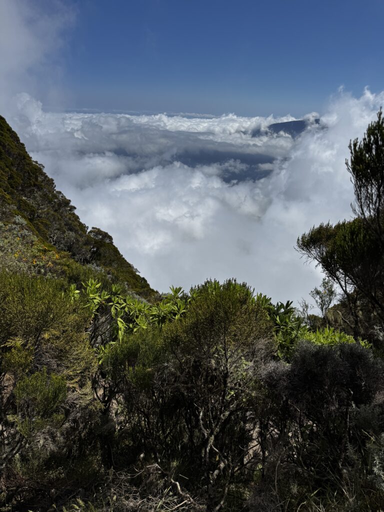 a view of clouds and trees from a mountain