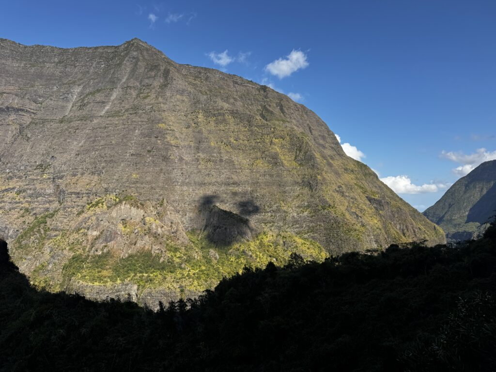 a mountain with trees and blue sky