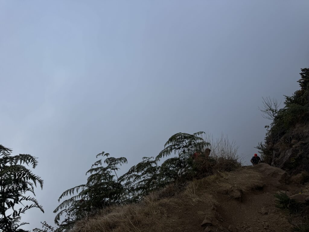 Running the Grand Raid on Reunion Island