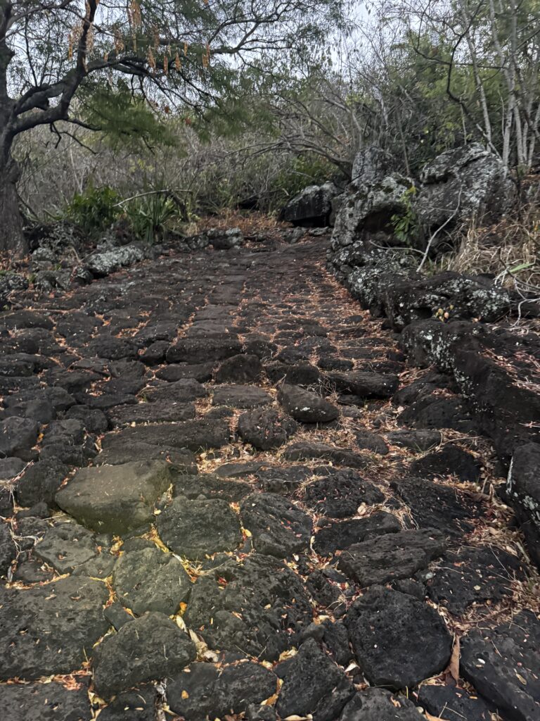 toughest 100 mile races