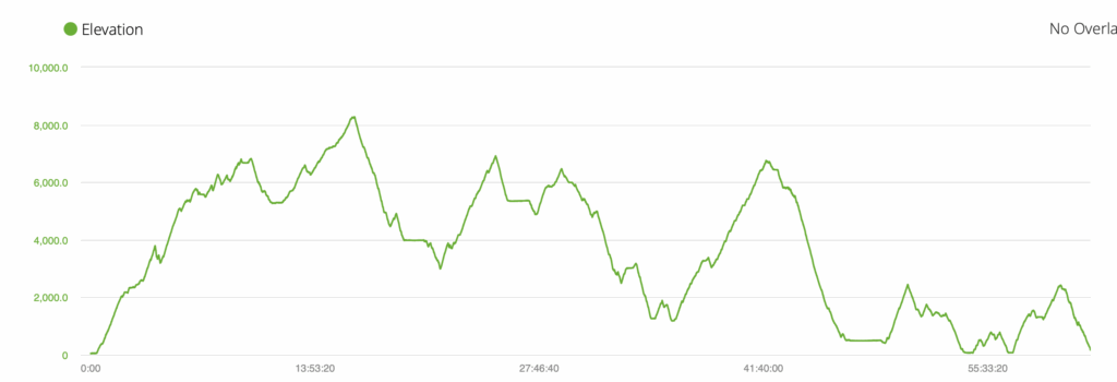 a green line graph with numbers and a few other numbers